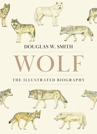 Imagen de portada: Wolf 9780691281674