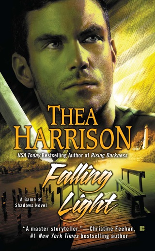 Cover image: Falling Light 9780425255100
