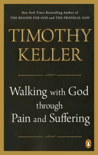 Cover image: Walking with God through Pain and Suffering 9781594634406