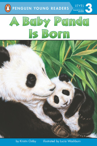 Cover image: A Baby Panda Is Born 9780448447209