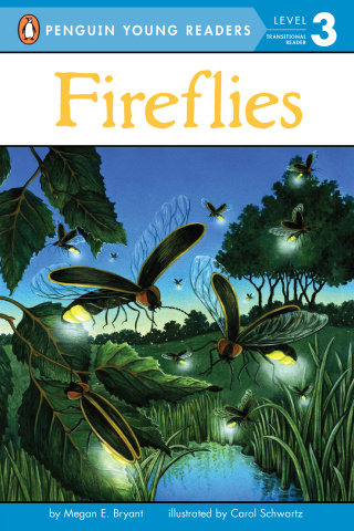 Cover image: Fireflies 9780448448343