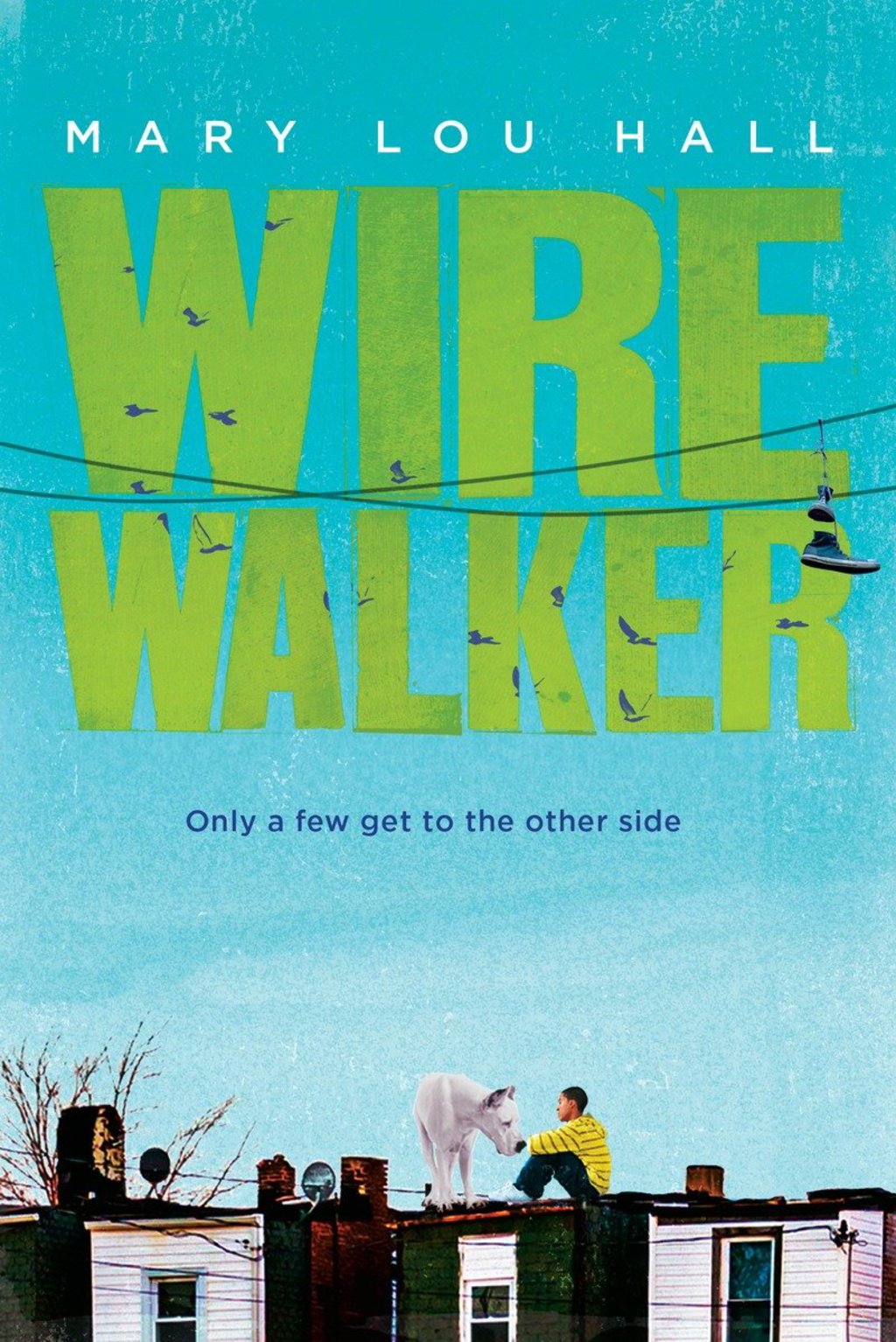 Wirewalker (eBook)