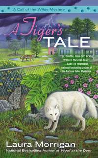 Cover image: A Tiger's Tale 9780425257203
