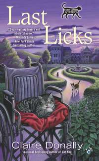 Cover image: Last Licks 9780425252550