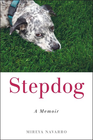 Cover image: Stepdog 9780399167799