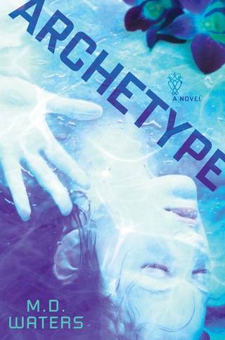 Cover image: Archetype 9780525954231