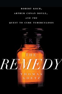 Cover image: The Remedy 9781592407514
