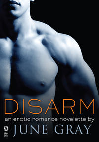 Cover image: Disarm