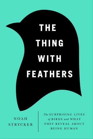 Cover image: The Thing with Feathers 9781594486357
