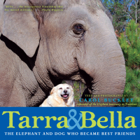 Cover image: Tarra & Bella 9780147510631