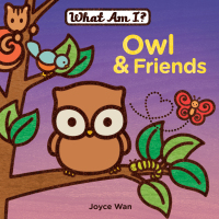 Cover image: Owl & Friends 9780843172751