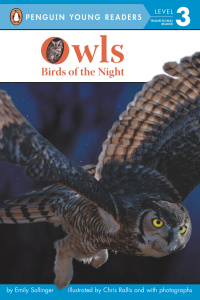 Cover image: Owls 9780448481357