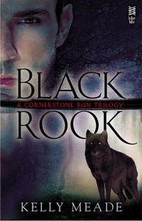 Cover image: Black Rook