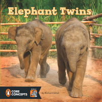 Cover image: Elephant Twins 9780448479217
