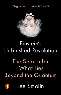 Cover image: Einstein's Unfinished Revolution 9781594206191