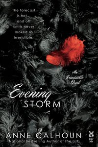 Cover image: Evening Storm