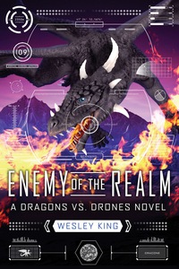 Cover image: Enemy of the Realm 9781595147998