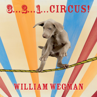 Cover image: 3-2-1 Circus! 9780803739345