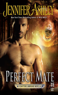 Cover image: Perfect Mate