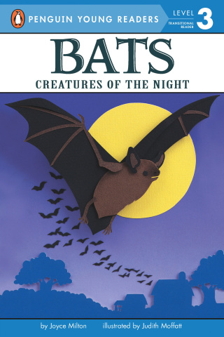 Cover image: Bats 9780448401935