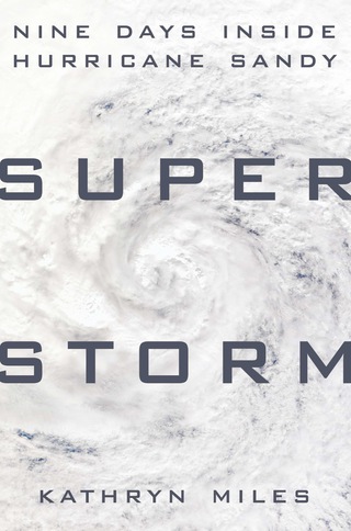 Cover image: Superstorm 9780525954408