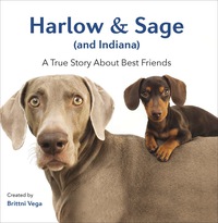 Cover image: Harlow & Sage (and Indiana) 9780399172878