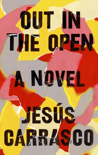 Cover image: Out in the Open 9781594634369
