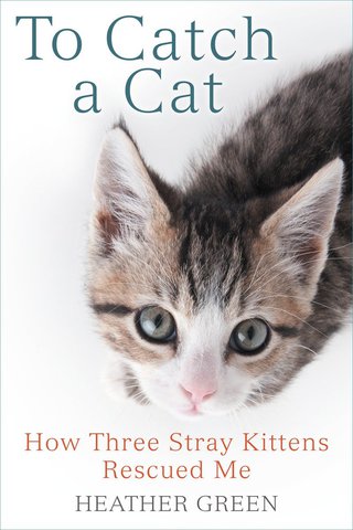 Cover image: To Catch a Cat 9780425281987