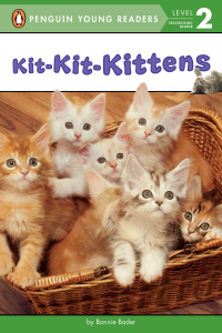 Cover image: Kit-Kit-Kittens 9780448484433