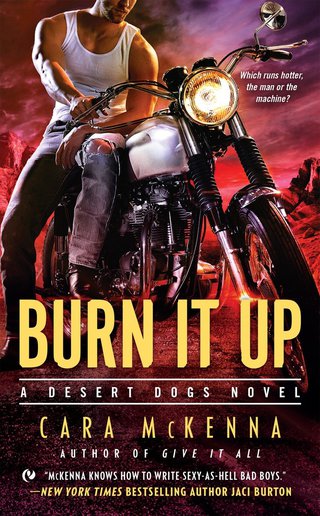 Cover image: Burn It Up 9780451476609