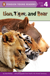 Cover image: Lion, Tiger, and Bear 9780448483368