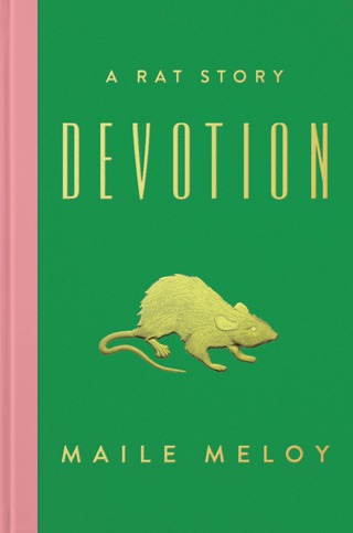 Cover image: Devotion 9781594634598