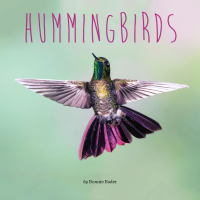 Cover image: Hummingbirds 9780448487137