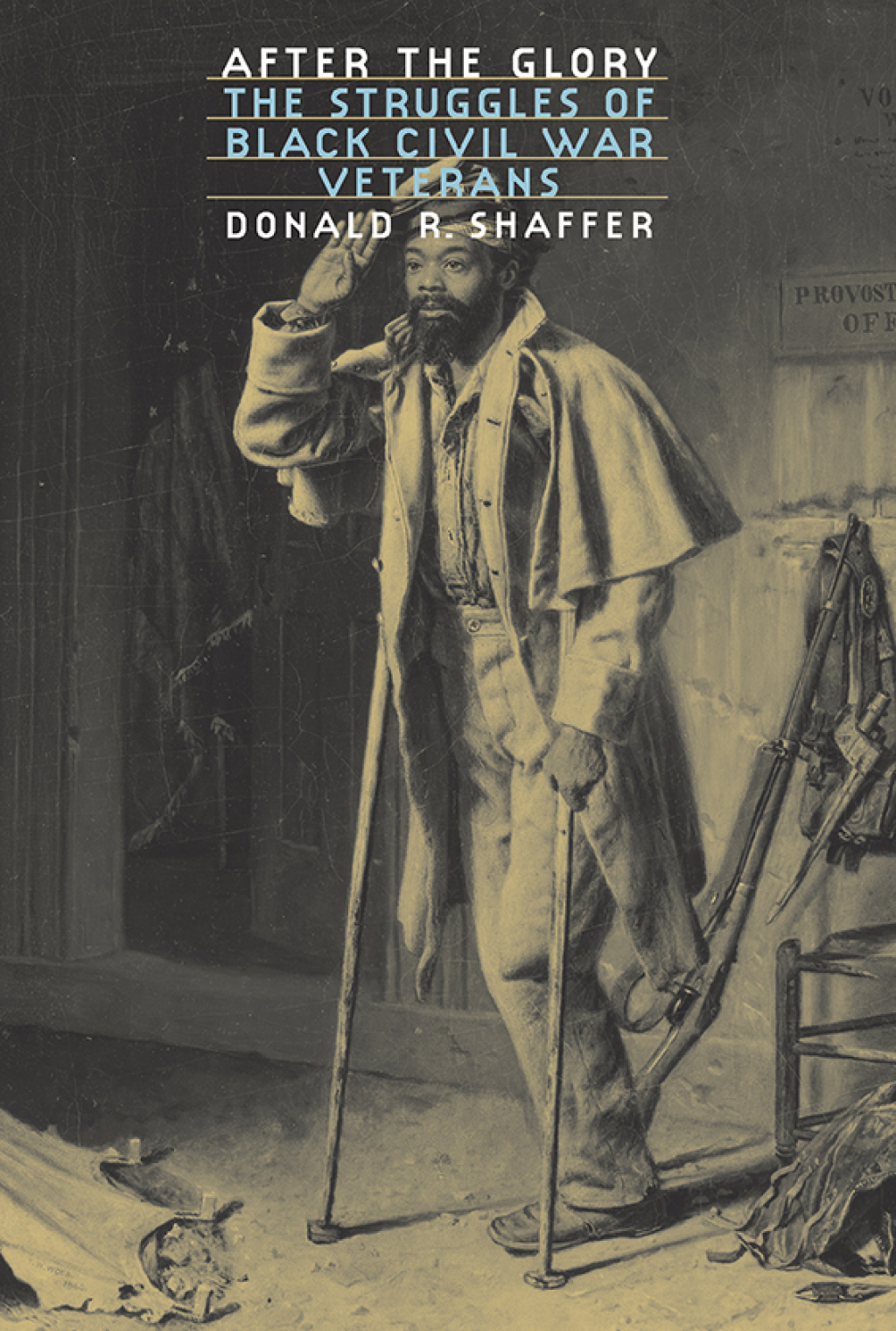 After the Glory The Struggles of Black Civil War Veterans