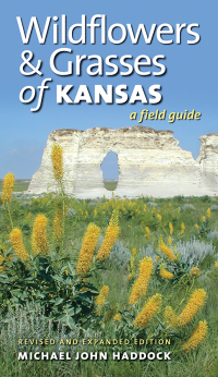 Cover image: Wildflowers and Grasses of Kansas 9780700635955