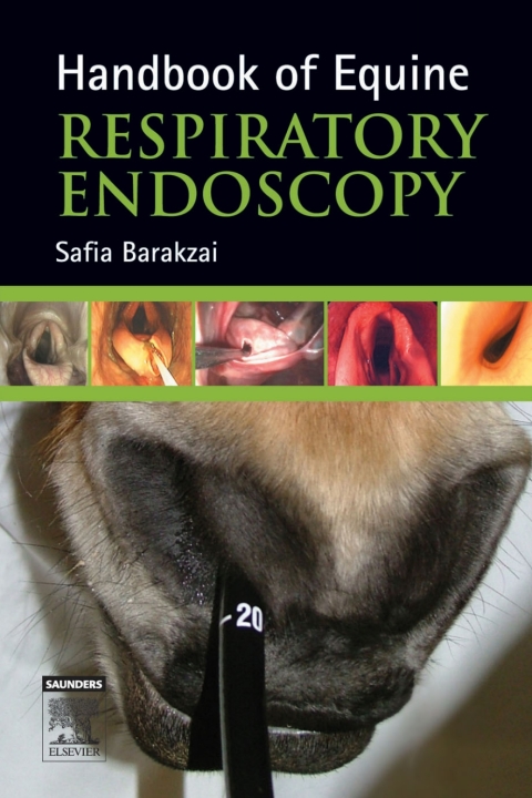 Handbook of Equine Respiratory Endoscopy - FULL INSTANT DOWNLOAD | PDF DOCX EPUB