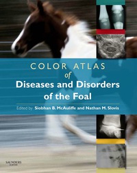 Cover image: Color Atlas of Diseases and Disorders of the Foal 9780702028106