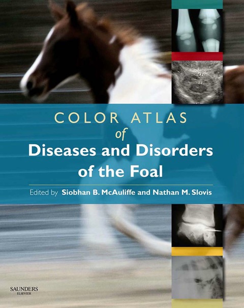 Color Atlas of Diseases and Disorders of the Foal - FULL INSTANT DOWNLOAD | PDF DOCX EPUB