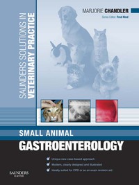 صورة الغلاف: Solutions Veterinary Practice: Small Animal Gastroenterology 9780702029103