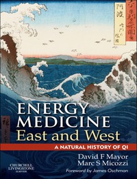 Titelbild: Energy Medicine East and West 9780702035715