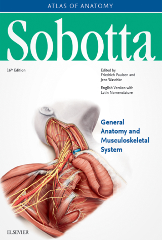 Omslagafbeelding: Sobotta Atlas of Anatomy, Vol.1, English/Latin 16th edition 9780702052699