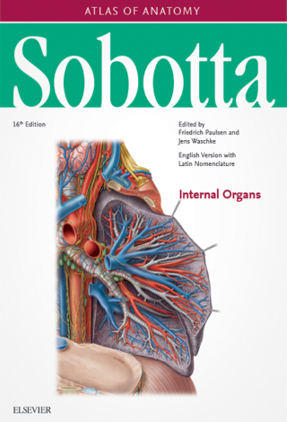 Imagen de portada: Sobotta Atlas of Anatomy, Vol. 2, 16th ed., English/Latin 16th edition 9780702052705