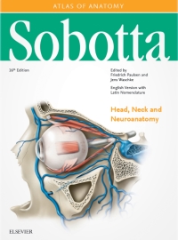 Imagen de portada: Sobotta Atlas of Anatomy, Vol. 3, 16th ed., English/Latin 16th edition 9780702052712