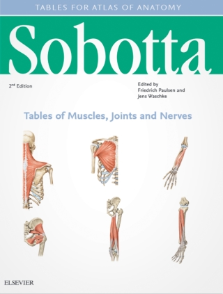 表紙画像: Sobotta Tables of Muscles, Joints and Nerves, English/Latin 2nd edition 9780702052729