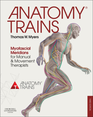 Omslagafbeelding: Anatomy Trains: Myofascial Meridians for Manual and Movement Therapists 3rd edition 9780702046544