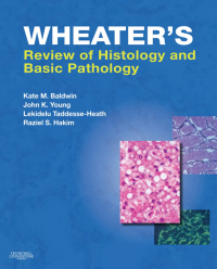 Cover image: Wheater's Review of Histology & Basic Pathology - Electronic 1st edition 9780702030451