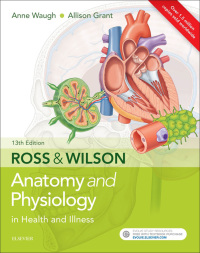 Omslagafbeelding: Ross & Wilson Anatomy and Physiology in Health and Illness 13th edition 9780702072765