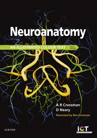 Cover image: Neuroanatomy 6th edition 9780702074622