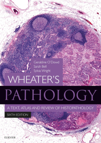 Cover image: Wheater's Pathology - Inkling Enhanced E-Book 6th edition 9780702075599