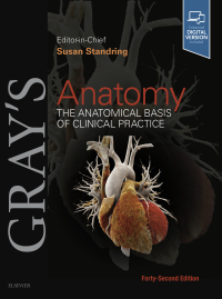 Cover image: Gray's Anatomy 42nd edition 9780702077050